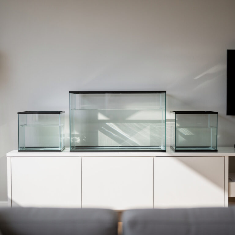 Aquarium Tanks